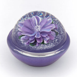 Flora Sphere Wegwarte von Melissa Ayotte