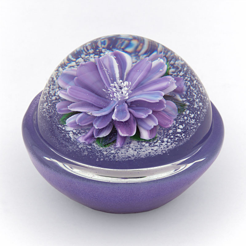 Flora Sphere Wegwarte von Melissa Ayotte