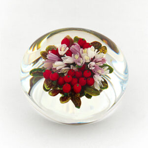 Preiselbeeren Cranberry von Melissa Ayotte