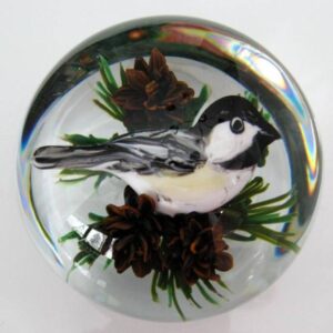 Chicadee on Branch of Pine Tree von Rick Ayotte