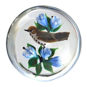 Drossel Miniatur von Rick Ayotte