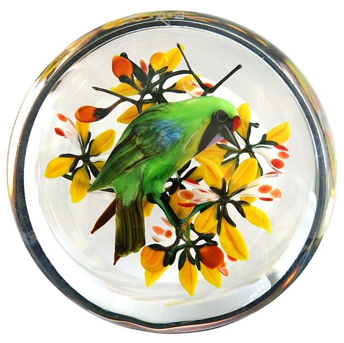 Golden Fronted Leaf Bird von Rick Ayotte