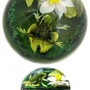 Leopard Frosch mit Seerose von Rick Ayotte