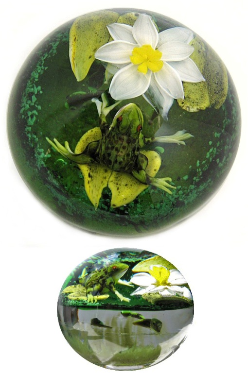 Leopard Frosch mit Seerose von Rick Ayotte