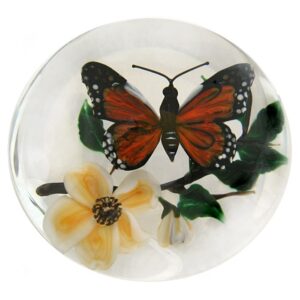 Monarch Butterfly von Rick Ayotte