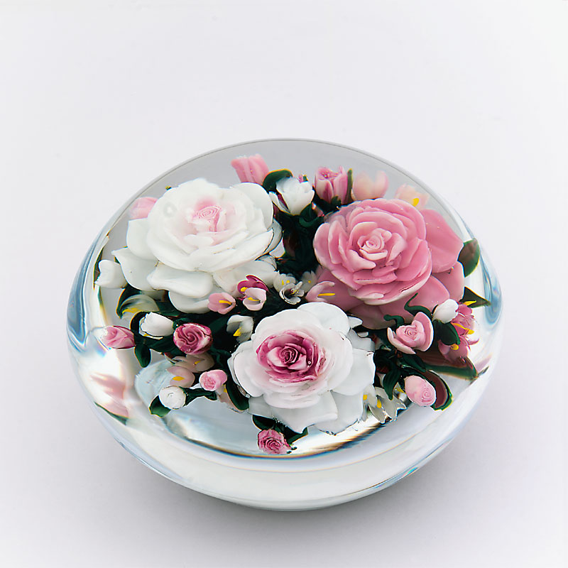 Mousseline alte chinesische Rose von Rick Ayotte