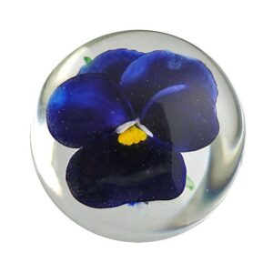 Pansy Stiefmuetterchen Miniatur von Rick Ayotte