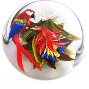 Papagei Scarlet Macaw von Rick Ayotte