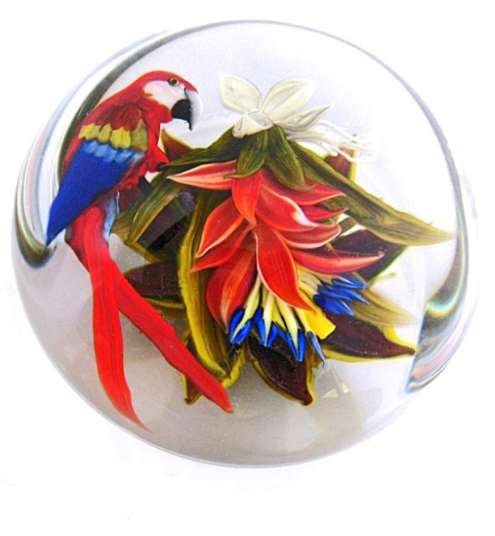 Papagei Scarlet Macaw von Rick Ayotte