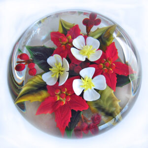 Poinsettia Weihnachsstern von Rick Ayotte