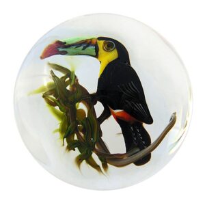 Regenbogentukan Keel Billed Toucan von Rick Ayotte