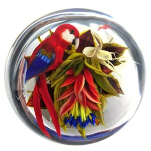 Scarlet Macaw mit Shrimp Flower von Rick Ayotte