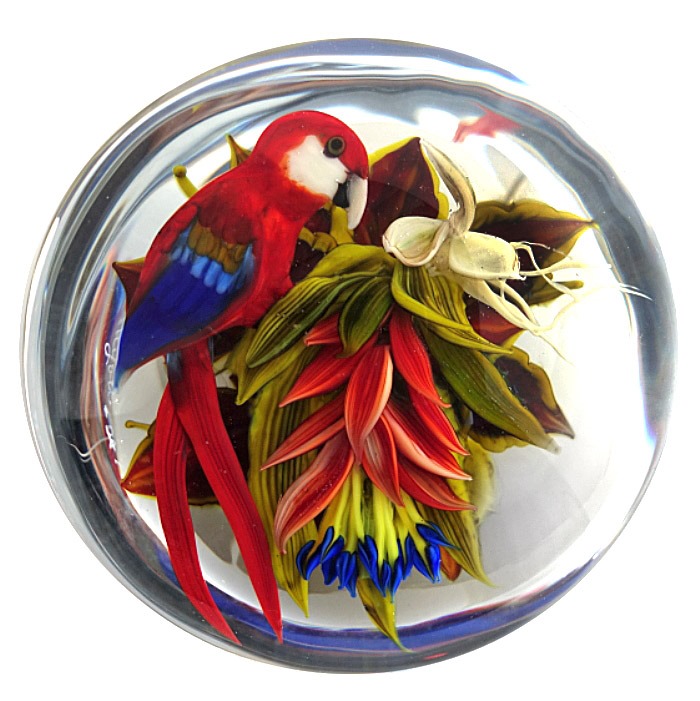 Scarlet Macaw mit Shrimp Flower von Rick Ayotte
