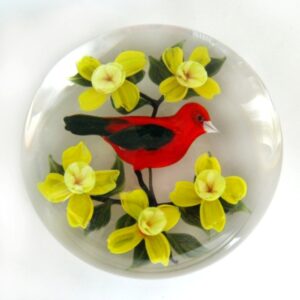 Scarlet Tanager von Rick Ayotte