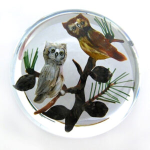 Screech Owls on Pine Branches von Rick Ayotte