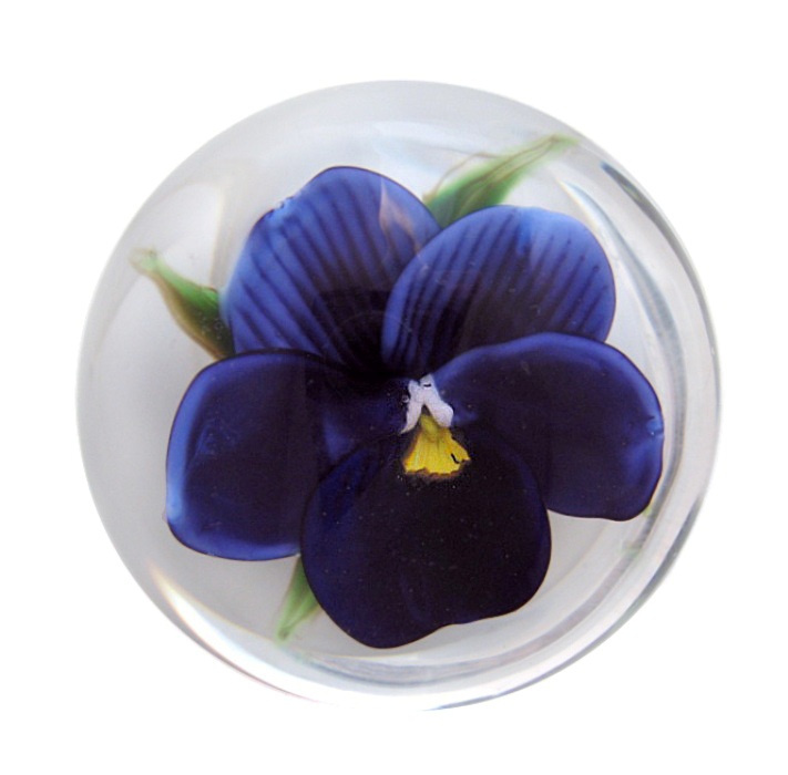 Stiefmuetterchen Pansy von Rick Ayotte