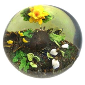 Walden Pond Serie Schildkroeten von Rick Ayotte