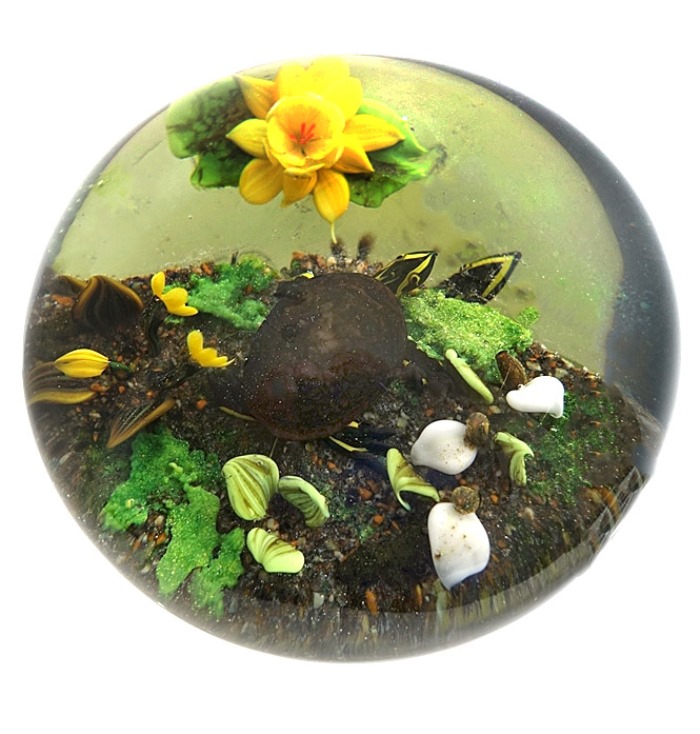 Walden Pond Serie Schildkroeten von Rick Ayotte