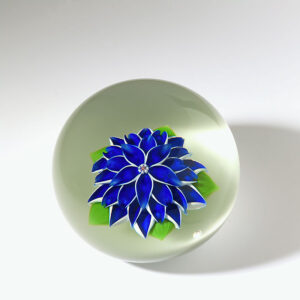 Blaue Dahlie