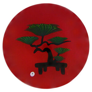 Bonsai Schwarze Pinie