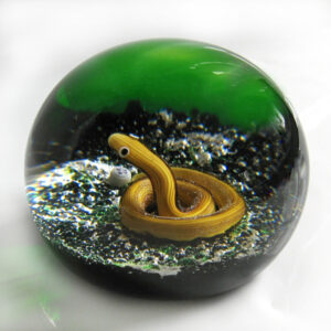 Coppered Snake