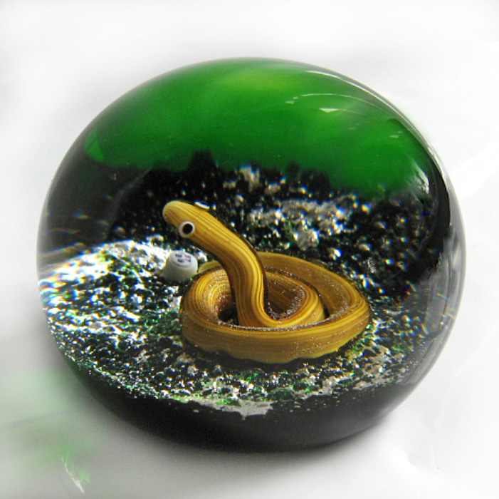 Coppered Snake