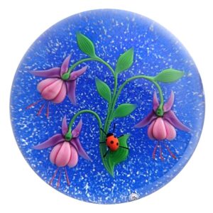 Fuchsie mit Marienkaefer