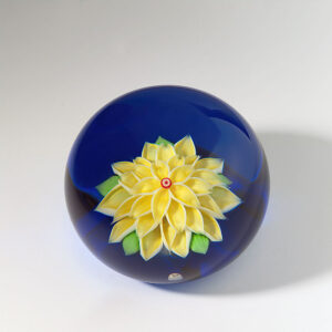 Gelbe Dahlie