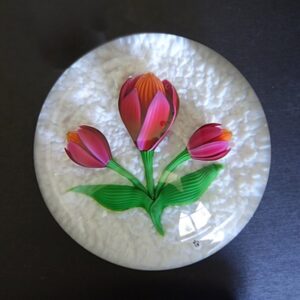 Krokusse