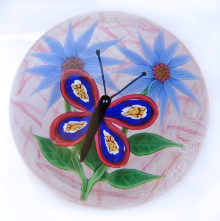 Schmetterling und Dahlien