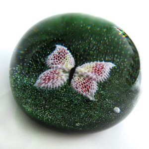Schmetterling