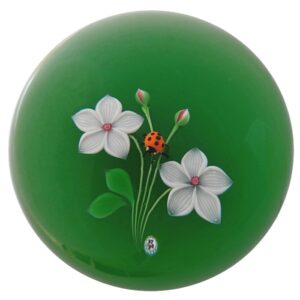 Weisse Blumen mit Marienkaefer