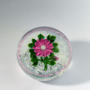 Rosa Dahlie von Bob Banford