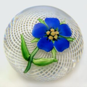 von Pelargonium-over-Latticinio Blue