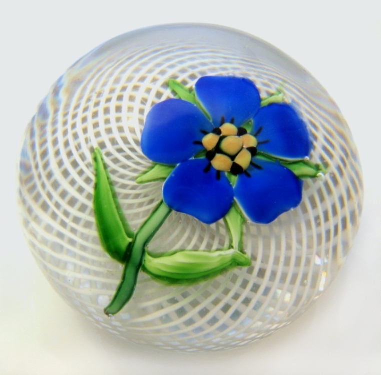 von Pelargonium-over-Latticinio Blue