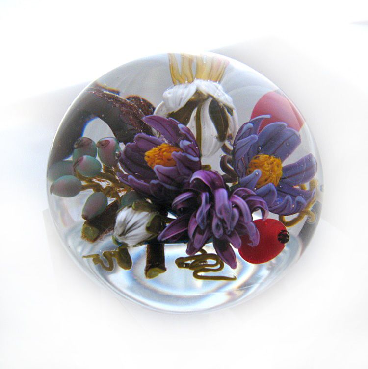 Autumn with dark Aster von Stefan Bracht