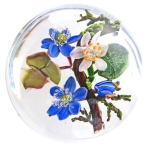 Bluetentropfen II von Stefan Bracht