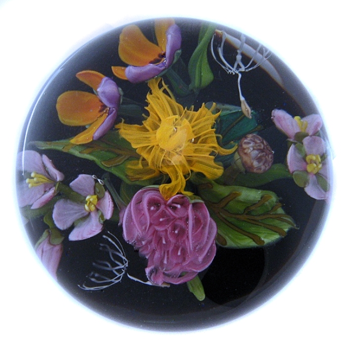 Orange Rosa Gelb von Stefan Bracht