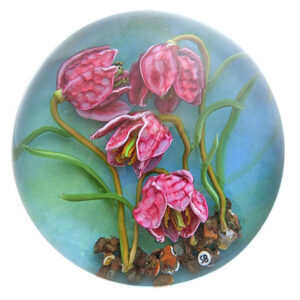 Schachbrettblume von Stefan Bracht