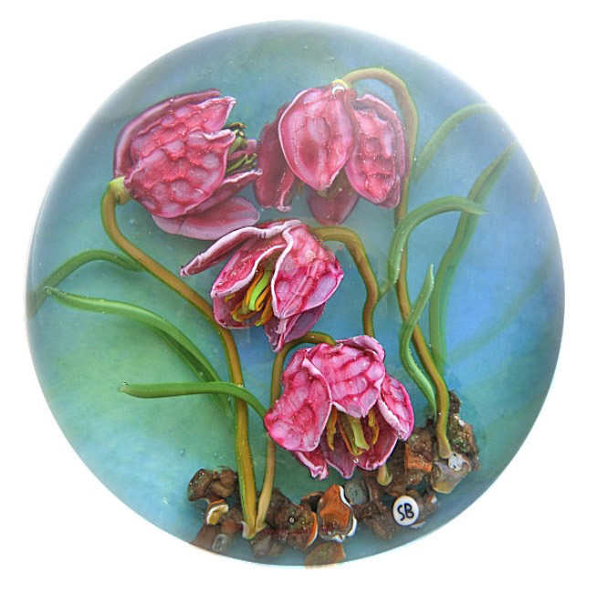 Schachbrettblume von Stefan Bracht