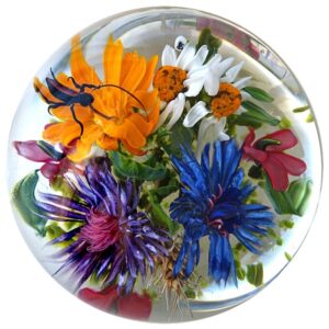 Sommersymphonie von Stefan Bracht