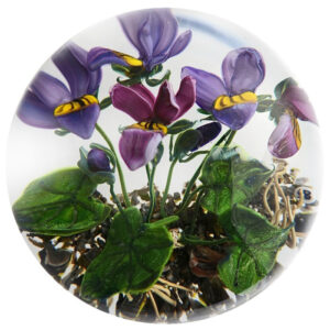 Viola IX von Stefan Bracht