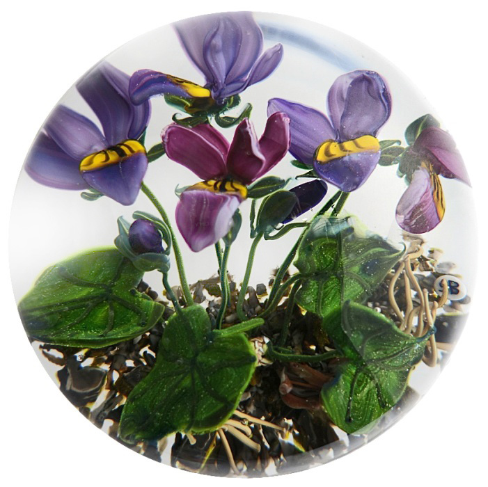 Viola IX von Stefan Bracht