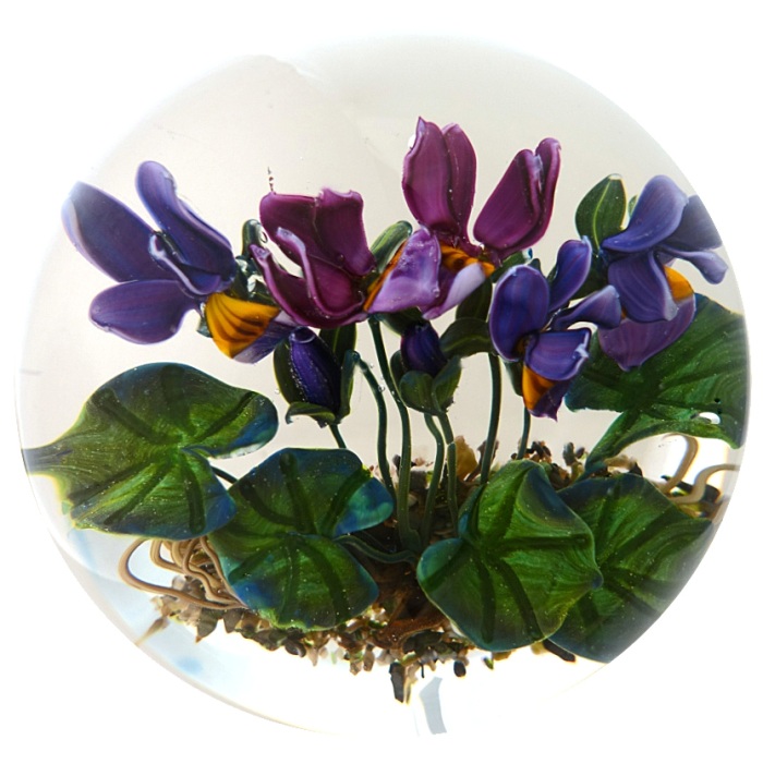 Viola VII von Stefan Bracht