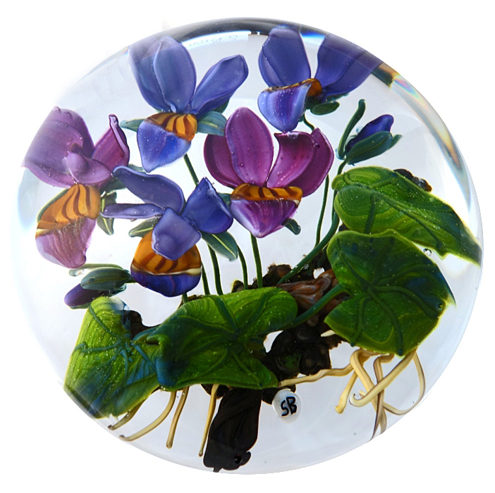 Viola X von Stefan Bracht