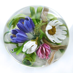 Wiesensaefte und Bluetenkraefte von Stefan Bracht