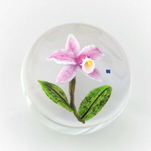Pink Cattleya von David-Dennis Briening
