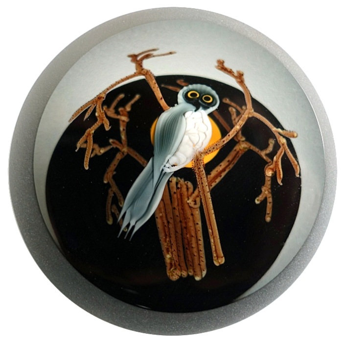 Correia Eule mit Mond von Chris Buzzini