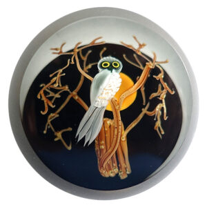 Correia Eule mit Mond von Chris Buzzini