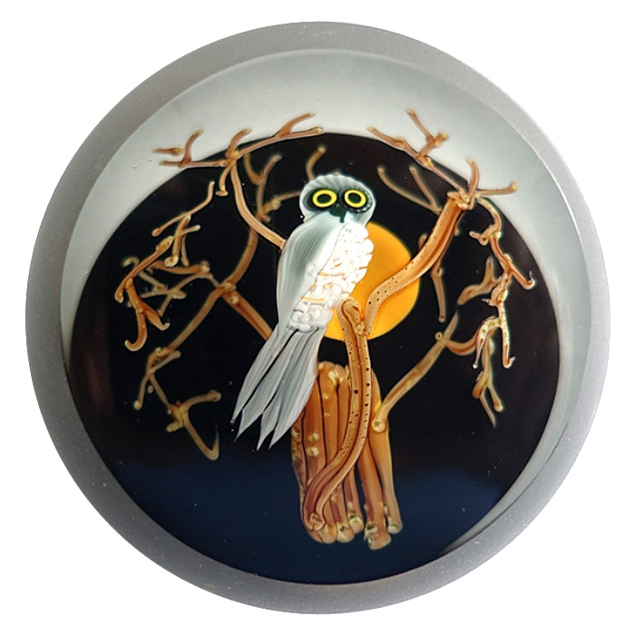 Correia Eule mit Mond von Chris Buzzini